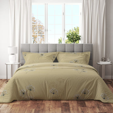Trenton 200 TC Cotton Super King Double Bedsheet With Two Pillow Covers (270X270 Cms) - Trenton