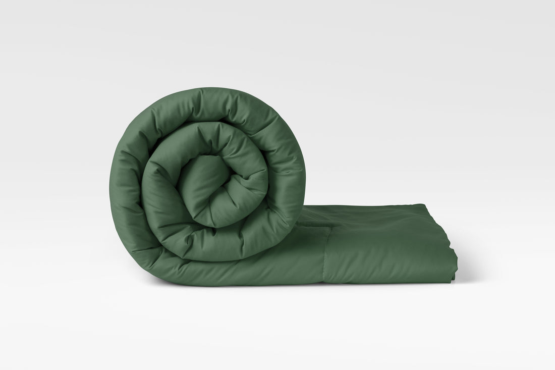 Experience Ultimate Comfort: All Season Reversible Comforter - Trenton